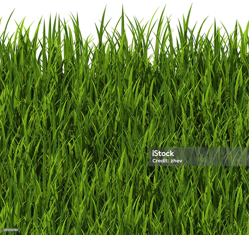 texture carrelage-Grass - Photo de Botanique libre de droits