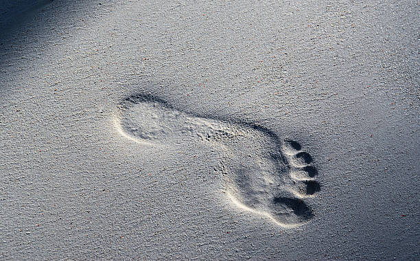 huella en la playa - sand footprint track following fotografías e imágenes de stock