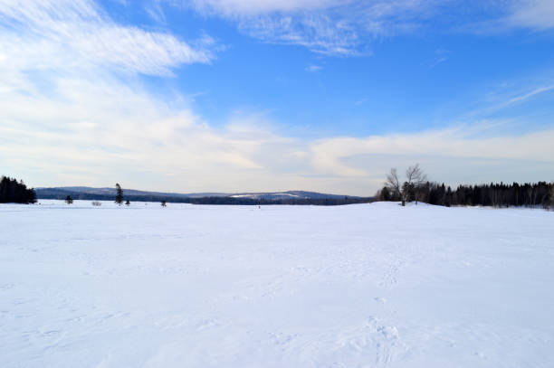 istock Snowshoe walk in the field 1373791762