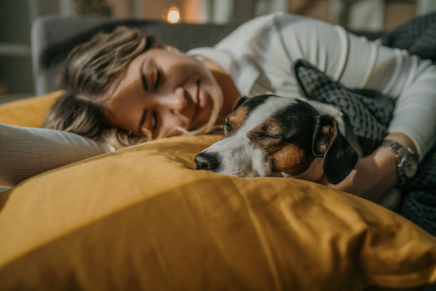 istock Friends taking a nap together 1373820842