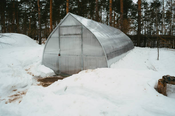 istock Greenhouse for seedlings in the snow 1373862432
