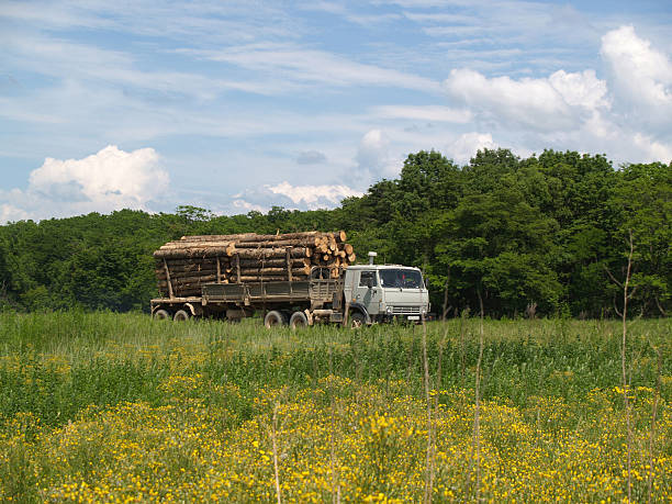 istock Car carries lumber 137386624