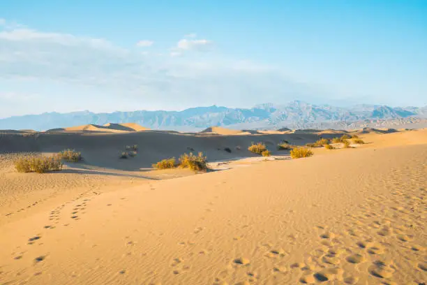 Photo of Sand dunes in desert and silhouette of mountains. Mesquite Flat Sand Dunes in Death Valley National Park, California