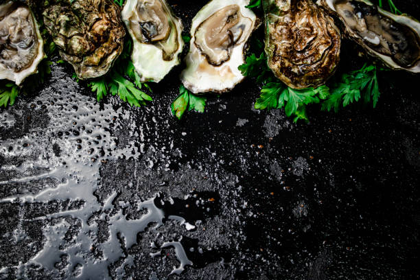istock Fresh oysters with greens. On a black background. 1373879534