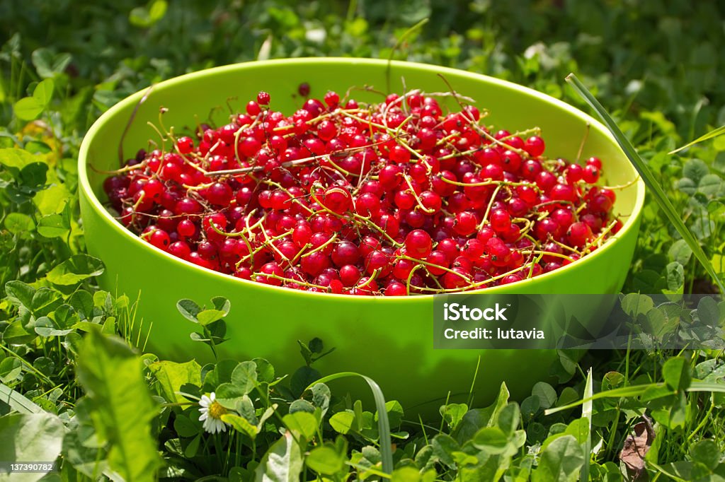 Rote Johannisbeere Beeren - Lizenzfrei Beere - Obst Stock-Foto