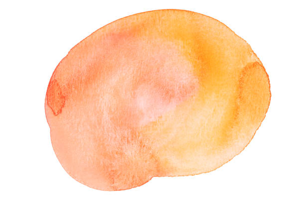 istock Watercolor splotch paint 1373919304
