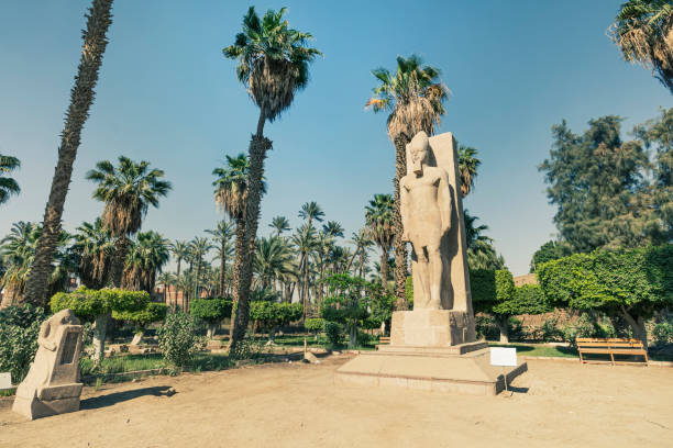 stehende statue von ramses ii. auf dem hintergrund grüne palmen im freilichtmuseum von memphis, ägypten - ii stock-fotos und bilder