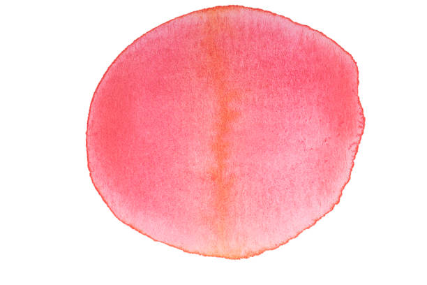 Watercolor splotch circle isolated on white background. Perfect elements for vivid organic designs.