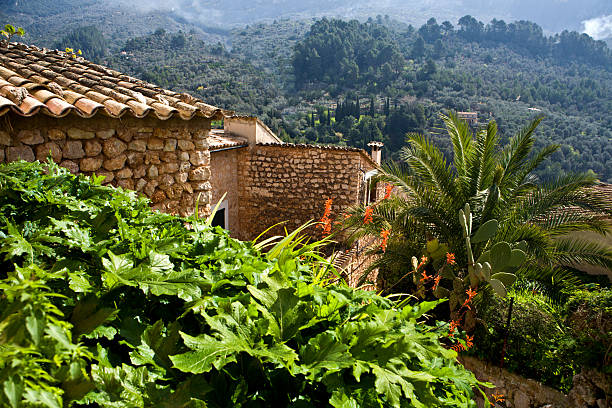 istock Fornalutx, Village in Majorca 137394232