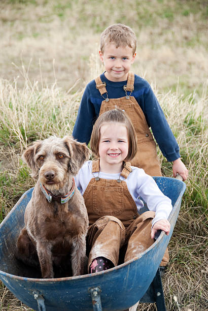 istock Brother & Sister with their Pet 137395432