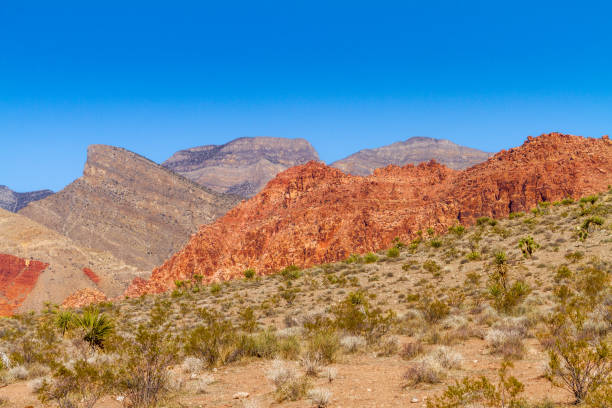 istock Mountain landscape at the Red Rock Canyon 1373958958