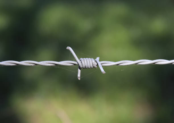 Barbed wire on with a soft focus bokeh in the background