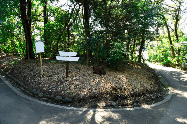 istock Blank information sign in the forest. 1374003497