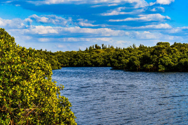 Florida River in Melbourne Florida.