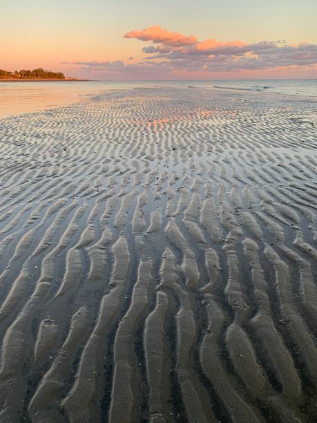 Více než 70 stock fotografií, snímků a obrázků bez autorských poplatků