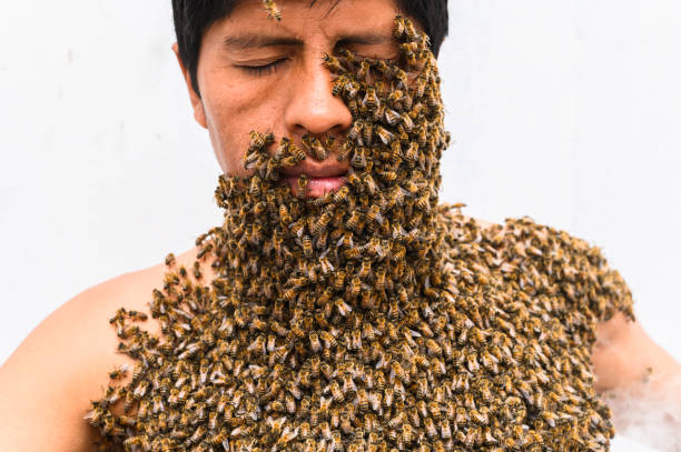 A beekeeper covered in bees, bee treatment