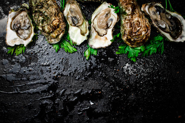 istock Fresh oysters with greens. On a black background. 1374078108