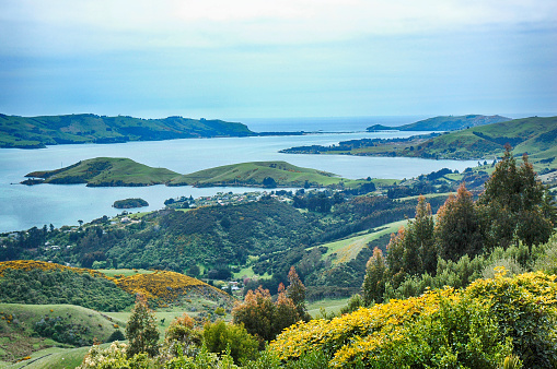 Beautiful aerial view from the hill near to Larnach Castle in Dunedin, New Zealand