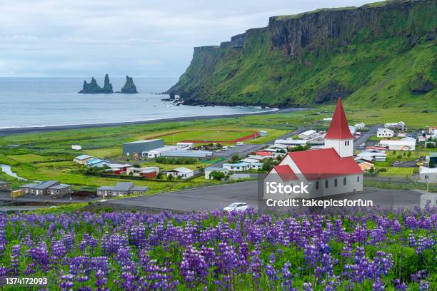 Beautiful Aerial View Of Red Reyniskirkja Church Stock Photo - Download Image Now - Flower, Iceland, Lupine - Flower