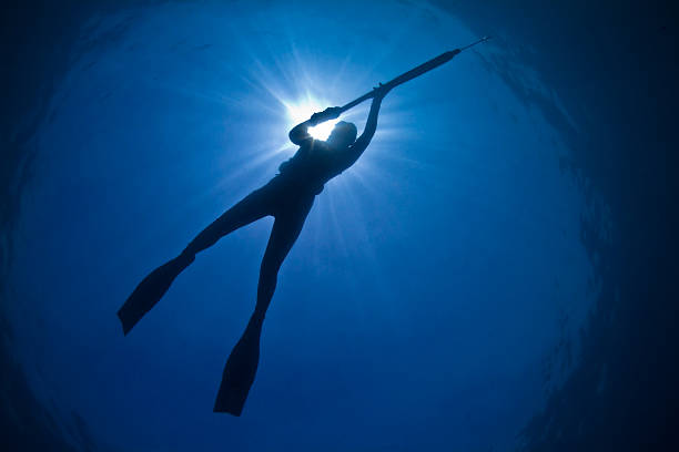 Silhouette of a young woman spearfishing A young woman silently stalks her prey in the deep blue waters of Australia's Great Barrier Reef. spear stock pictures, royalty-free photos & images