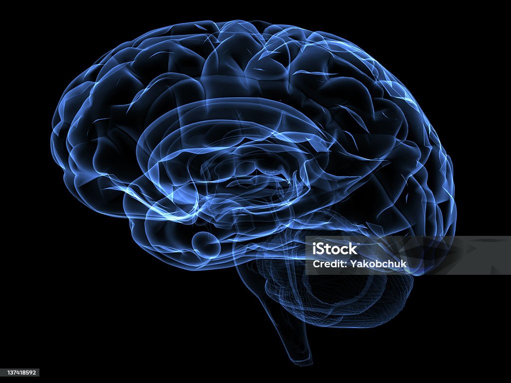 Brain Xray image of a human head brain X-ray Image Stock Photo