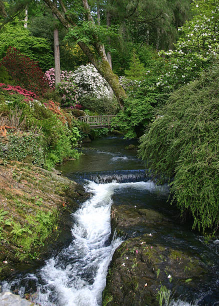 A winding path in Bodnant Gardens in North Wales that leads towards a secluded glade.