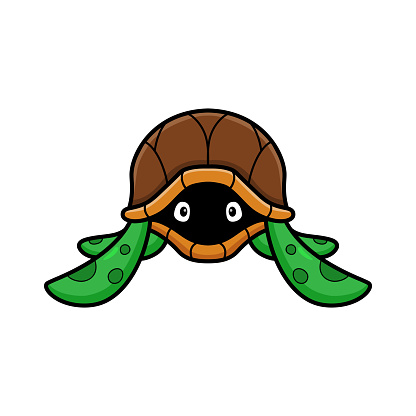 Vector Illustration of Cute little turtle cartoon hides in its shell