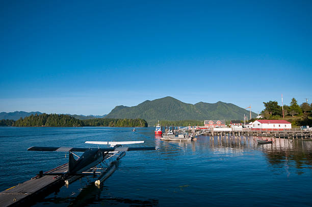 istock Harbor in Tofino, BC, Canada 137423200