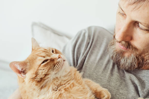 istock Bearded man and cat looking at each other close-up. Selective focus on cat's muzzle 1374236647