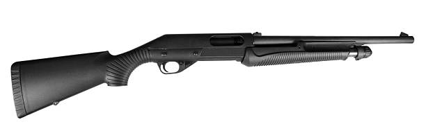 istock Twelve gauge Shot gun 137423719