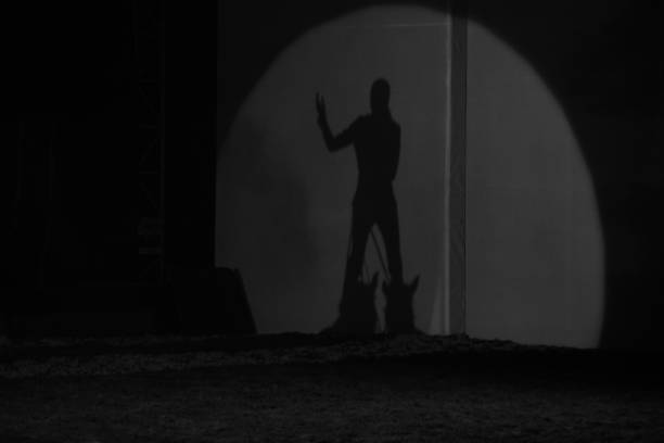 Shadow game at darkness photo
