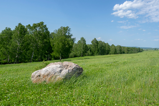 Large stone lying in the grass in the meadow. Limestone. Summer landscape.