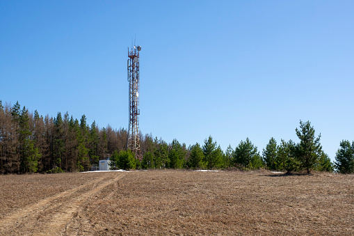 5g signal tower among the trees