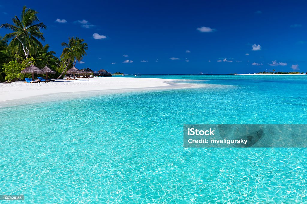 ヤシの木々、美しいラグーンと白砂のビーチ - インド洋のロイヤリティフリーストックフォト