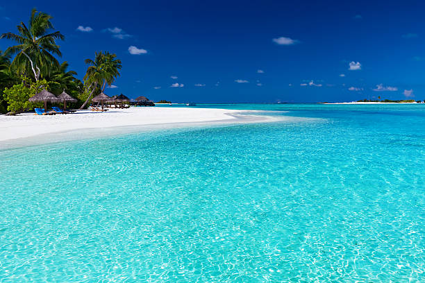 istock Palm trees over stunning lagoon and white beach 137428158