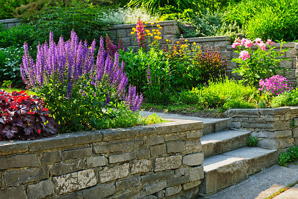 jardín con piedra paisajismo - lilac bush nature flower bed fotografías e imágenes de stock