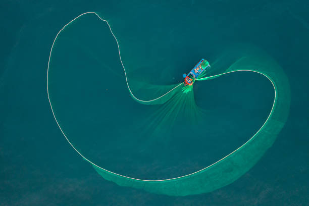 Netting anchovies Drone view of fishing boat is netting  anchovies on the sea in sunrise, Phu Yen province, central Vietnam basket boat stock pictures, royalty-free photos & images