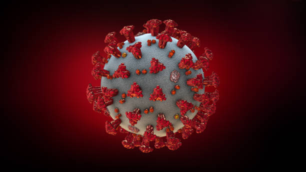 istock Coronavirus or SARS-CoV-2 or COVID-19 virus 1374318707