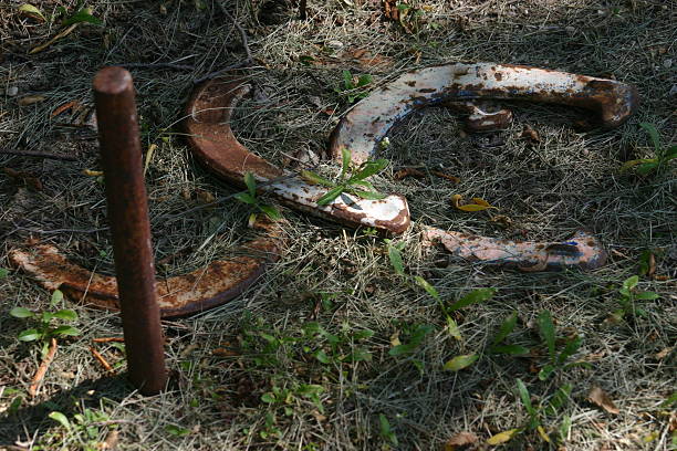 istock Game of horseshoes 137432025