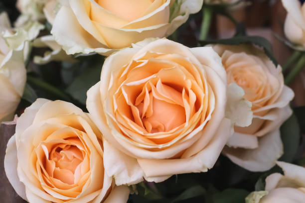 istock Orange rose bouquet for Valentine day background 1374330100