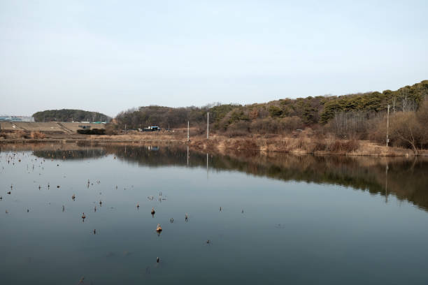 Geumam reservoir in Gyeonggi-do Province, South Korea.