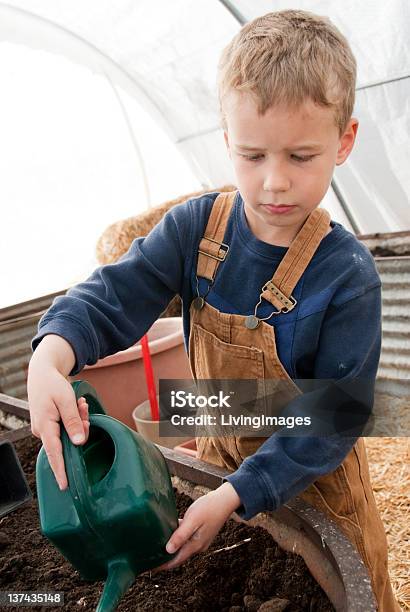 Jardinagem - Fotografias de stock e mais imagens de Agricultura - Agricultura, Ao Ar Livre, Aprender