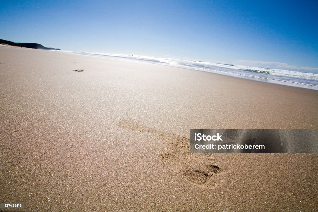 해변의 점유공간 - 로열티 프리 관광 스톡 사진