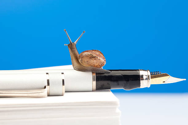 istock Cute snail on the fountain pen 137436282