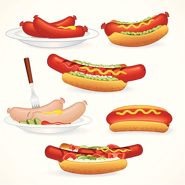 illustrazioni stock, clip art, cartoni animati e icone di tendenza di hot dog variazione - meat bratwurst sausage sauerkraut