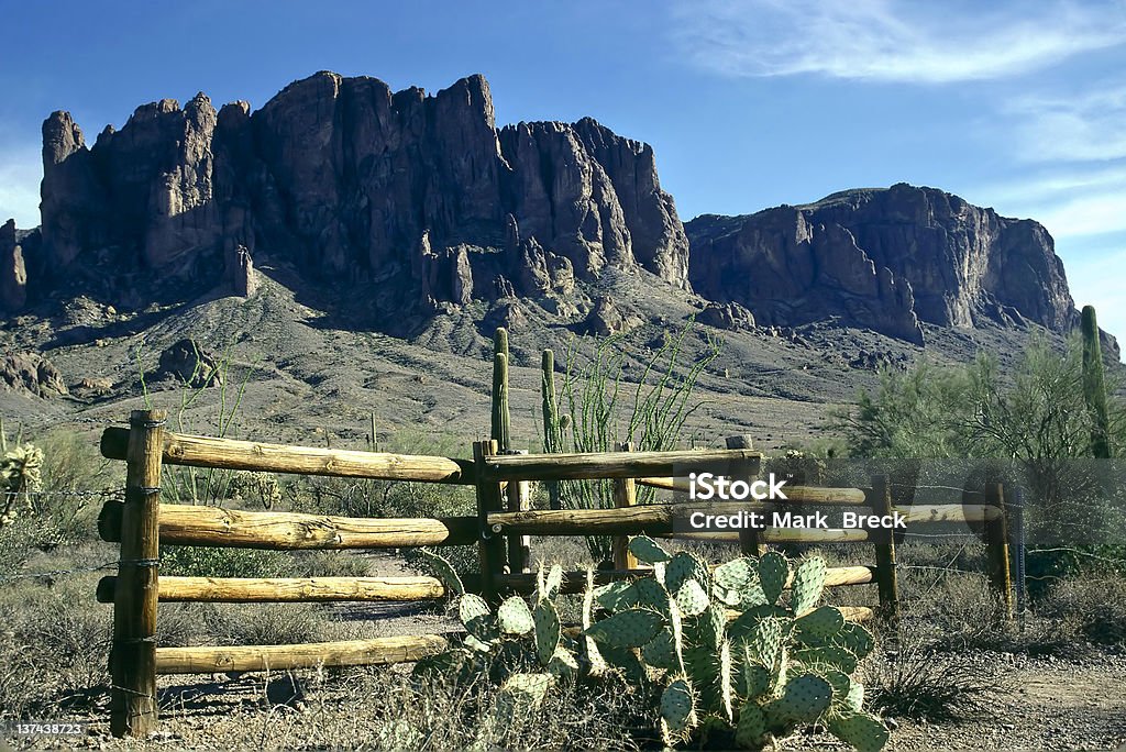 Superstition parete - Foto stock royalty-free di Ago - Parte della pianta