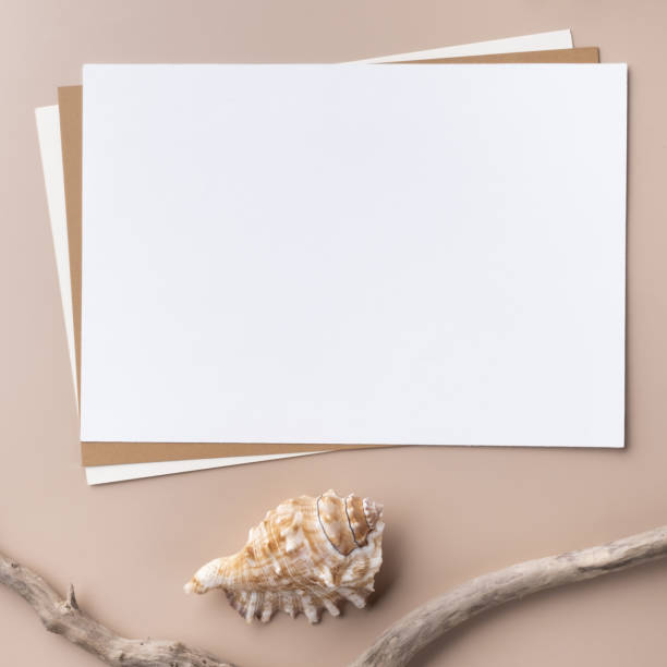 istock Minimal paper card mockup on beige background with dry branches and seashell 1374390330