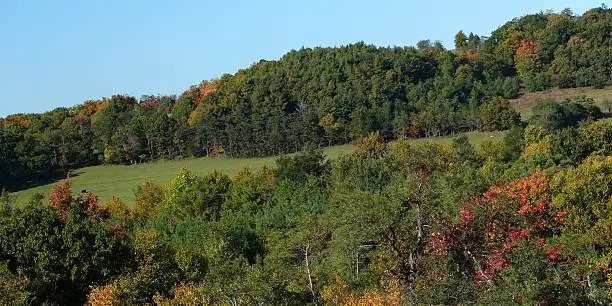 Hillside of Pulaski Virginia