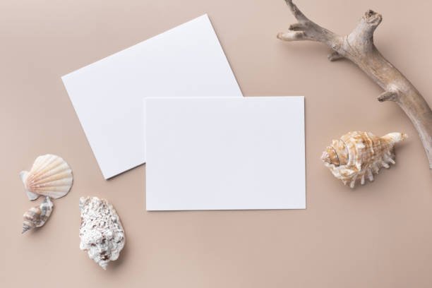 istock Minimal paper card mockup on beige background with dry branches and seashell 1374393403