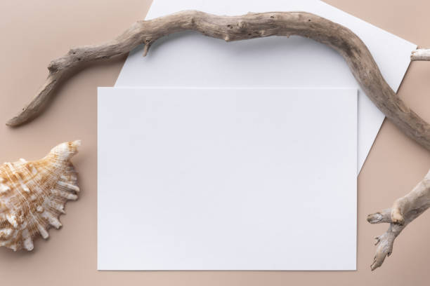 istock Minimal paper card mockup on beige background with branches and seashell 1374397089